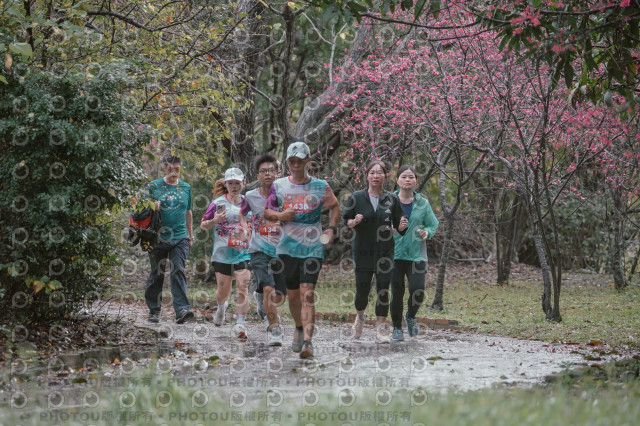 2026左岸竹東櫻花馬拉松Zhudong Sakura Marathon
