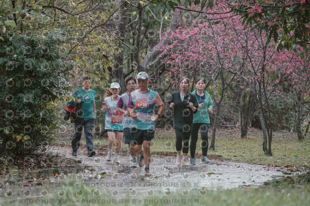 2026左岸竹東櫻花馬拉松Zhudong Sakura Marathon