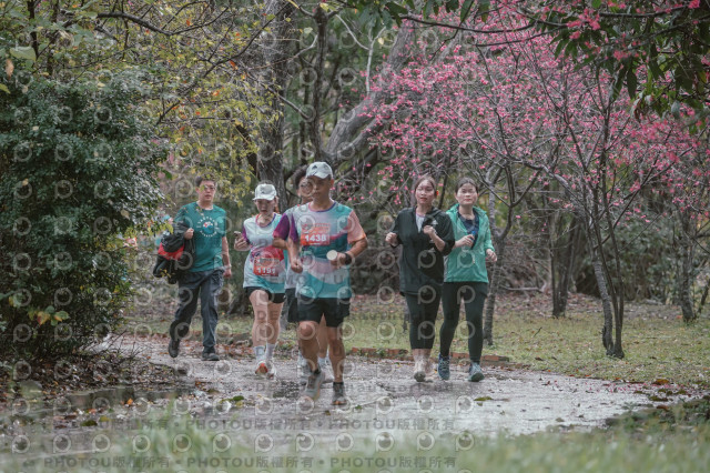 2026左岸竹東櫻花馬拉松Zhudong Sakura Marathon