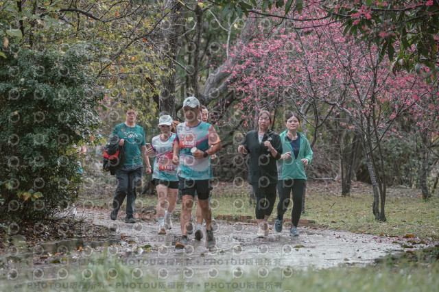 2026左岸竹東櫻花馬拉松Zhudong Sakura Marathon