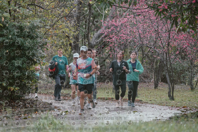 2026左岸竹東櫻花馬拉松Zhudong Sakura Marathon