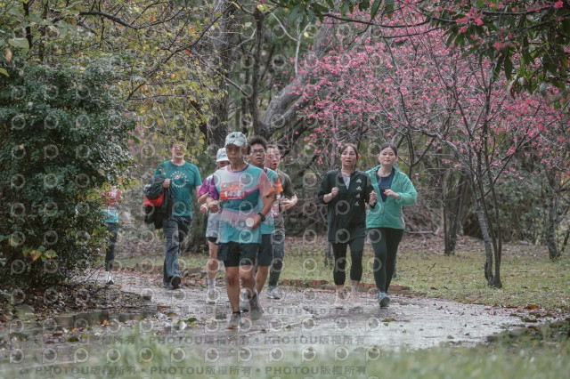 2026左岸竹東櫻花馬拉松Zhudong Sakura Marathon