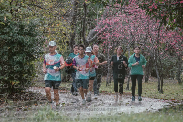 2026左岸竹東櫻花馬拉松Zhudong Sakura Marathon