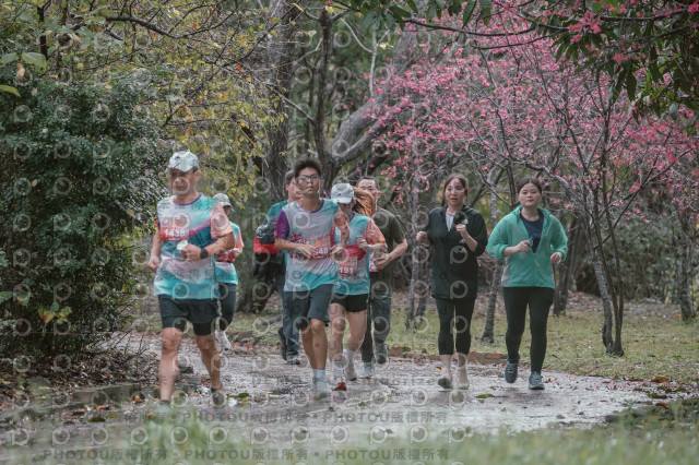 2026左岸竹東櫻花馬拉松Zhudong Sakura Marathon