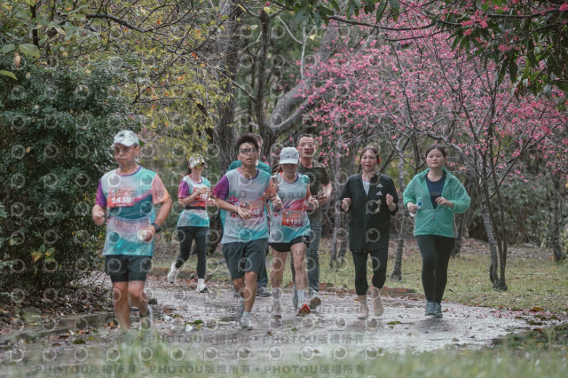 2026左岸竹東櫻花馬拉松Zhudong Sakura Marathon