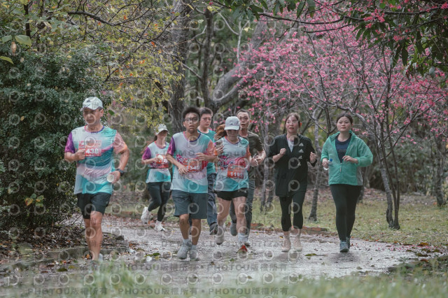2026左岸竹東櫻花馬拉松Zhudong Sakura Marathon