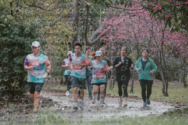 2026左岸竹東櫻花馬拉松Zhudong Sakura Marathon