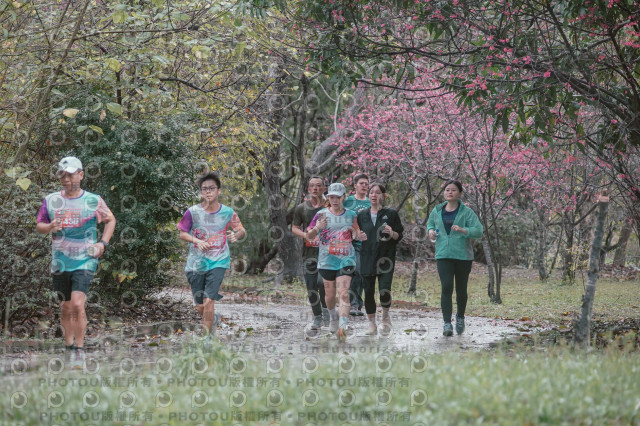 2026左岸竹東櫻花馬拉松Zhudong Sakura Marathon