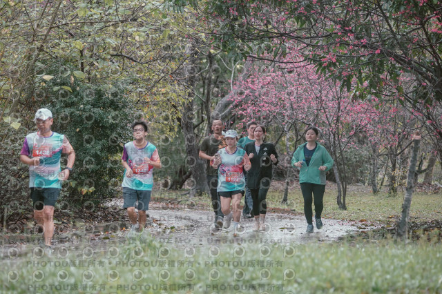 2026左岸竹東櫻花馬拉松Zhudong Sakura Marathon