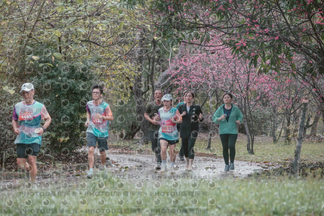 2026左岸竹東櫻花馬拉松Zhudong Sakura Marathon