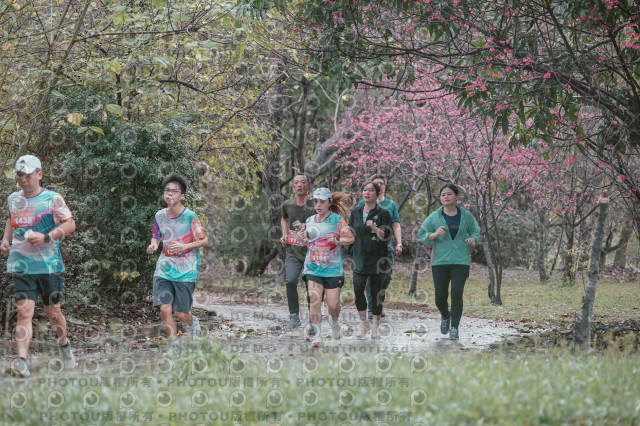 2026左岸竹東櫻花馬拉松Zhudong Sakura Marathon