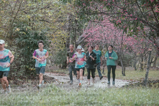 2026左岸竹東櫻花馬拉松Zhudong Sakura Marathon