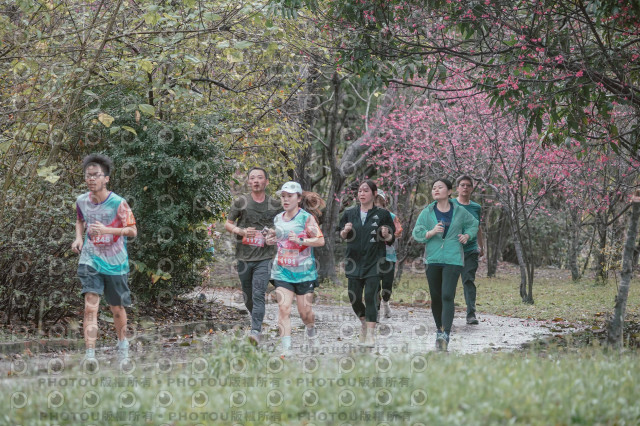 2026左岸竹東櫻花馬拉松Zhudong Sakura Marathon