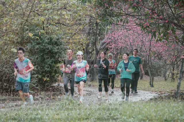 2026左岸竹東櫻花馬拉松Zhudong Sakura Marathon
