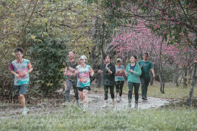 2026左岸竹東櫻花馬拉松Zhudong Sakura Marathon