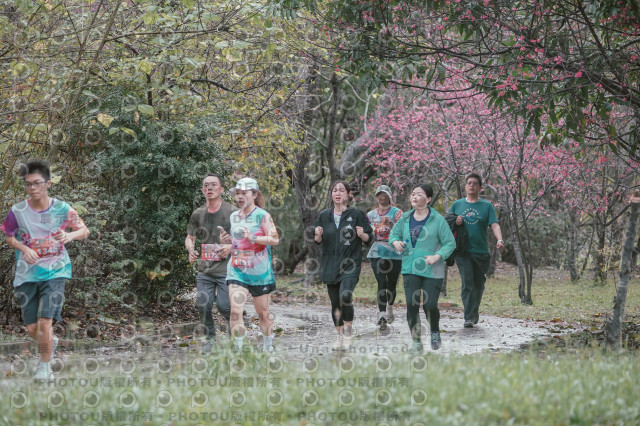 2026左岸竹東櫻花馬拉松Zhudong Sakura Marathon