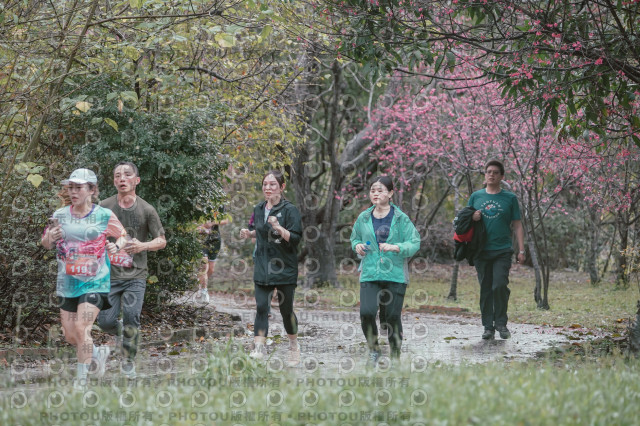 2026左岸竹東櫻花馬拉松Zhudong Sakura Marathon