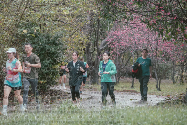 2026左岸竹東櫻花馬拉松Zhudong Sakura Marathon