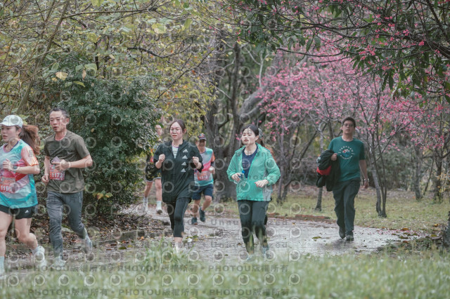 2026左岸竹東櫻花馬拉松Zhudong Sakura Marathon