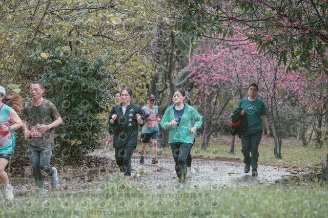 2026左岸竹東櫻花馬拉松Zhudong Sakura Marathon
