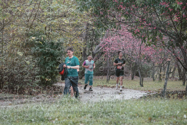 2026左岸竹東櫻花馬拉松Zhudong Sakura Marathon