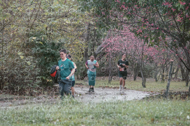 2026左岸竹東櫻花馬拉松Zhudong Sakura Marathon