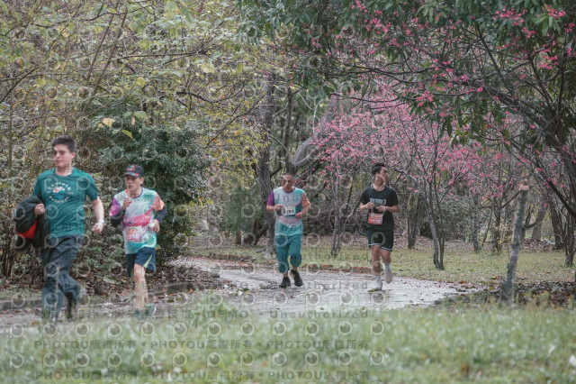 2026左岸竹東櫻花馬拉松Zhudong Sakura Marathon