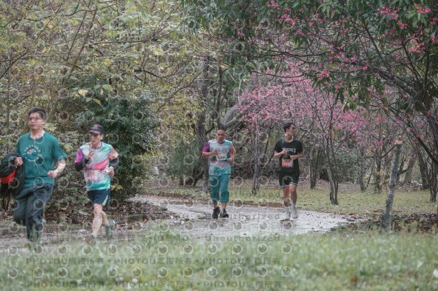 2026左岸竹東櫻花馬拉松Zhudong Sakura Marathon