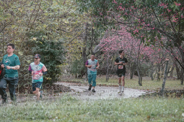 2026左岸竹東櫻花馬拉松Zhudong Sakura Marathon