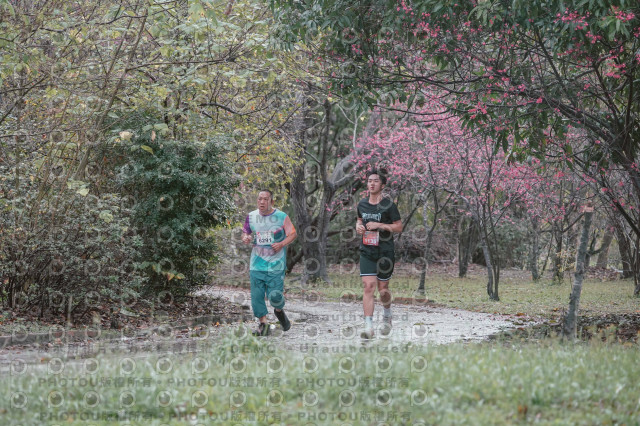 2026左岸竹東櫻花馬拉松Zhudong Sakura Marathon