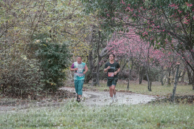 2026左岸竹東櫻花馬拉松Zhudong Sakura Marathon