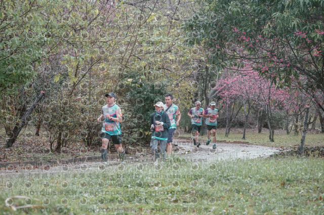 2026左岸竹東櫻花馬拉松Zhudong Sakura Marathon
