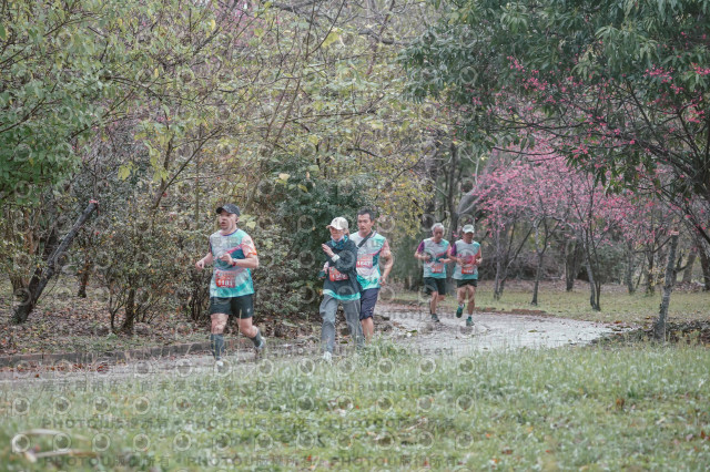2026左岸竹東櫻花馬拉松Zhudong Sakura Marathon