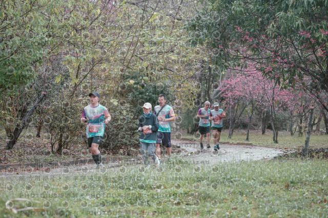 2026左岸竹東櫻花馬拉松Zhudong Sakura Marathon