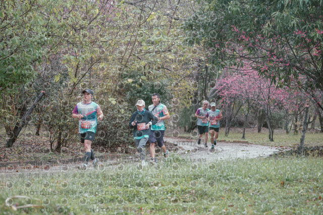 2026左岸竹東櫻花馬拉松Zhudong Sakura Marathon