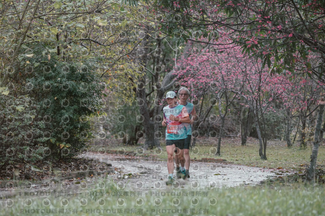 2026左岸竹東櫻花馬拉松Zhudong Sakura Marathon