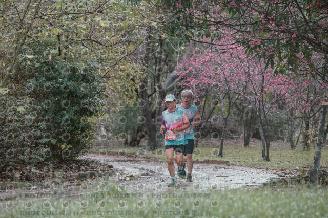 2026左岸竹東櫻花馬拉松Zhudong Sakura Marathon