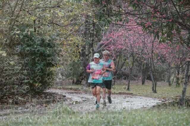 2026左岸竹東櫻花馬拉松Zhudong Sakura Marathon