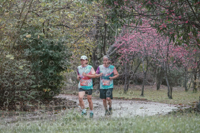 2026左岸竹東櫻花馬拉松Zhudong Sakura Marathon