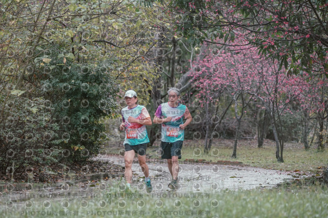 2026左岸竹東櫻花馬拉松Zhudong Sakura Marathon
