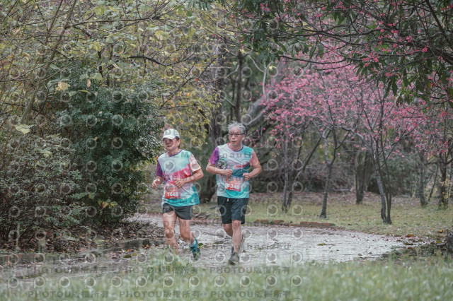2026左岸竹東櫻花馬拉松Zhudong Sakura Marathon