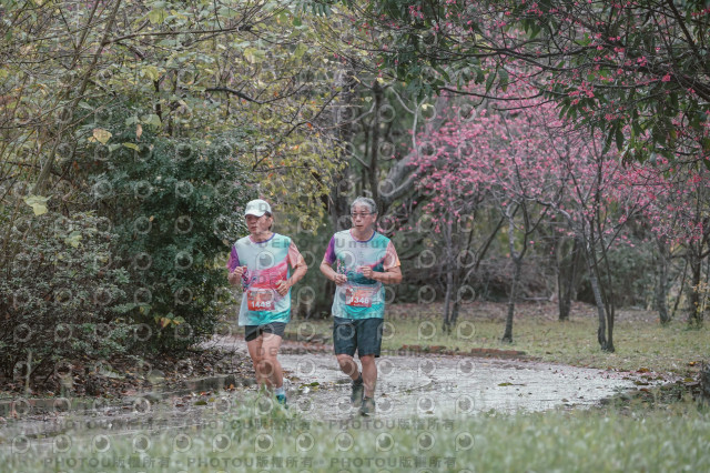 2026左岸竹東櫻花馬拉松Zhudong Sakura Marathon