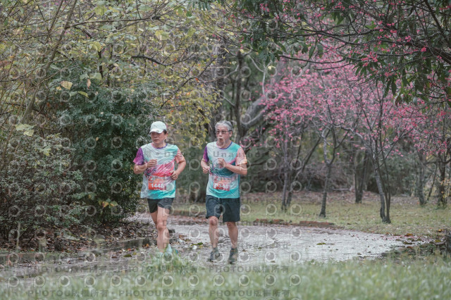 2026左岸竹東櫻花馬拉松Zhudong Sakura Marathon