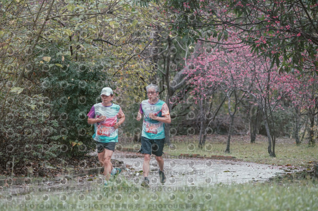 2026左岸竹東櫻花馬拉松Zhudong Sakura Marathon