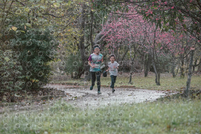 2026左岸竹東櫻花馬拉松Zhudong Sakura Marathon
