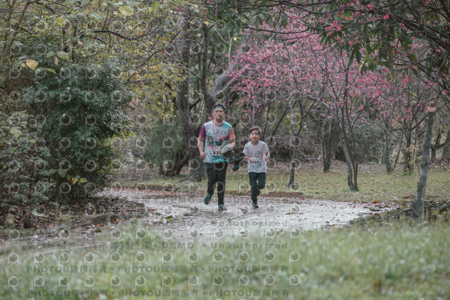 2026左岸竹東櫻花馬拉松Zhudong Sakura Marathon