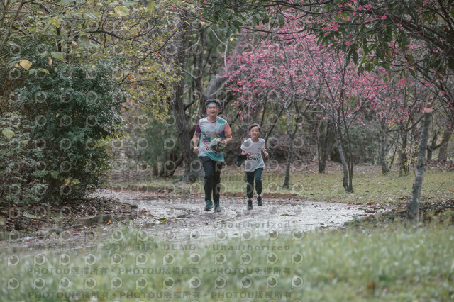 2026左岸竹東櫻花馬拉松Zhudong Sakura Marathon