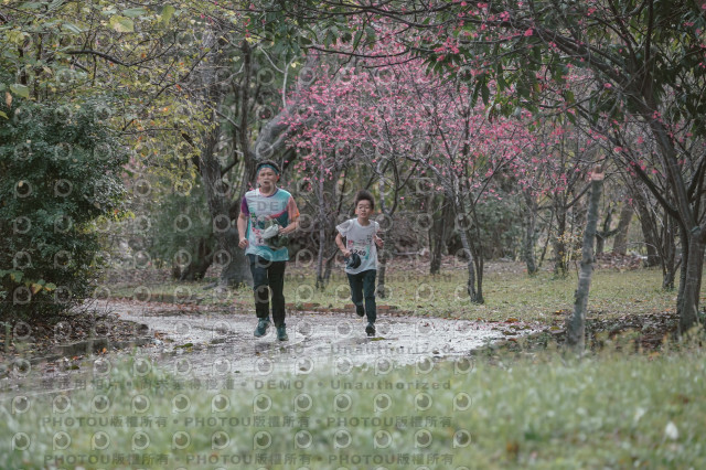 2026左岸竹東櫻花馬拉松Zhudong Sakura Marathon