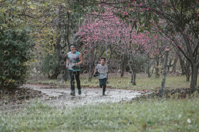 2026左岸竹東櫻花馬拉松Zhudong Sakura Marathon