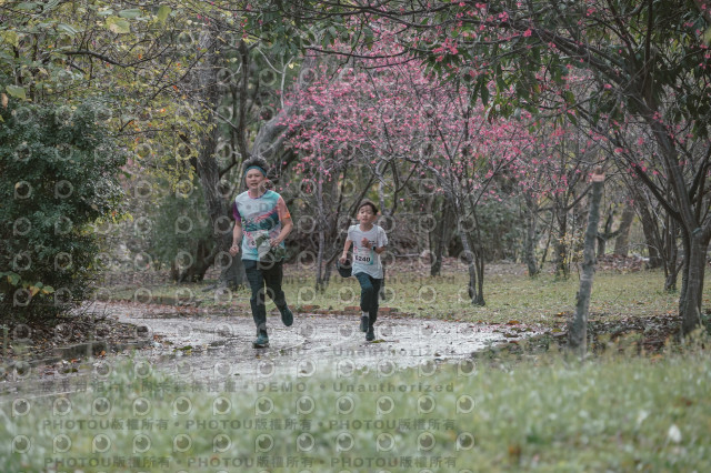2026左岸竹東櫻花馬拉松Zhudong Sakura Marathon